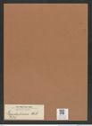 Lepidodiscus sp. (de-Toni-Nr.: Genus 231) Zeichnungen Sammlung Grunow Mappe 05389 (Herbarium_W_Grunow_drawings_Folder_05389)